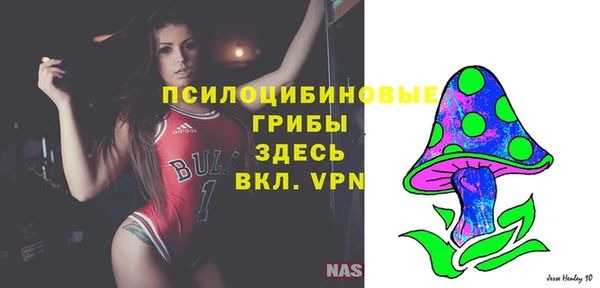 ALPHA PVP Богородск