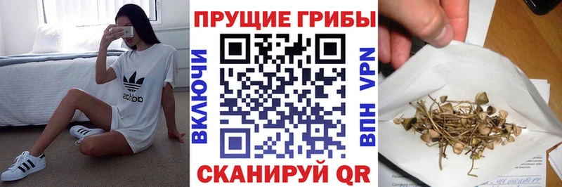 сколько стоит  мега ТОР  Псилоцибиновые грибы ЛСД  Юрга 