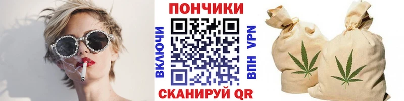 Бошки Шишки Amnesia  Юрга 